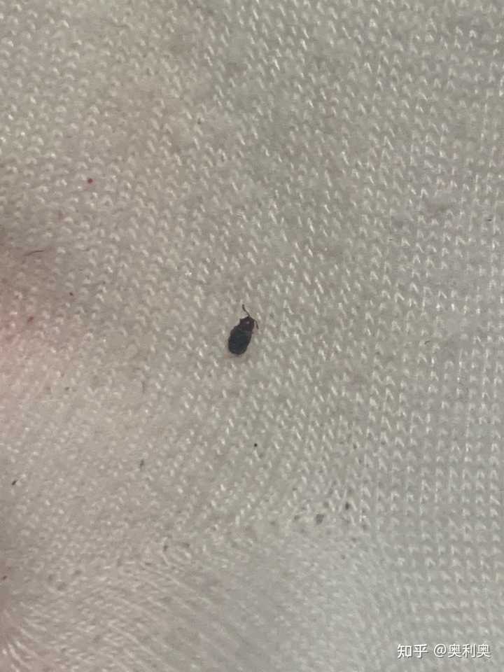最新资讯 第197页