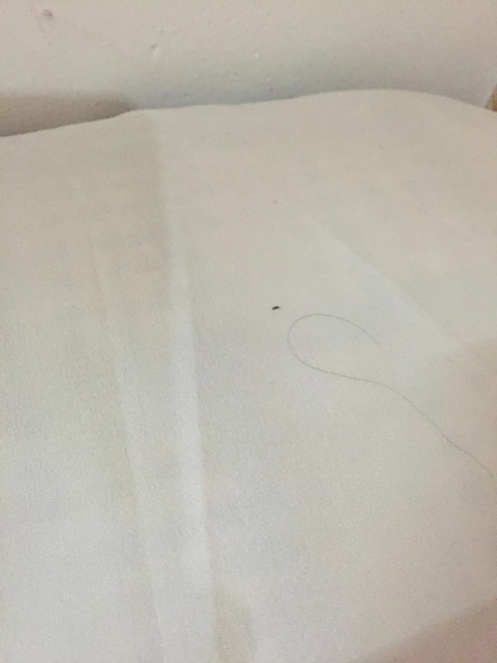 娱乐生活 第222页