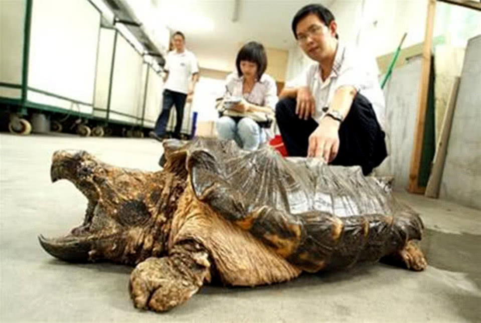 地方新闻 第202页