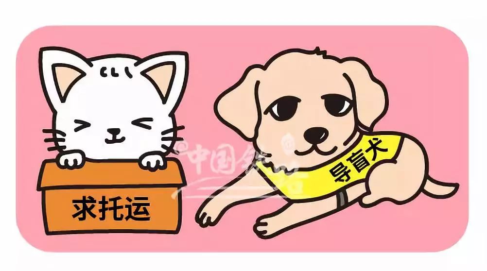 最新资讯 第185页