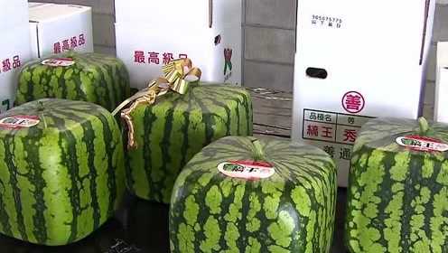 港澳新闻 第153页
