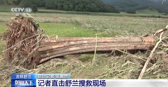 第1151页