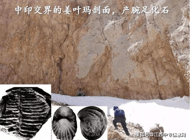 地方新闻 第158页