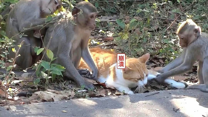地方新闻 第153页
