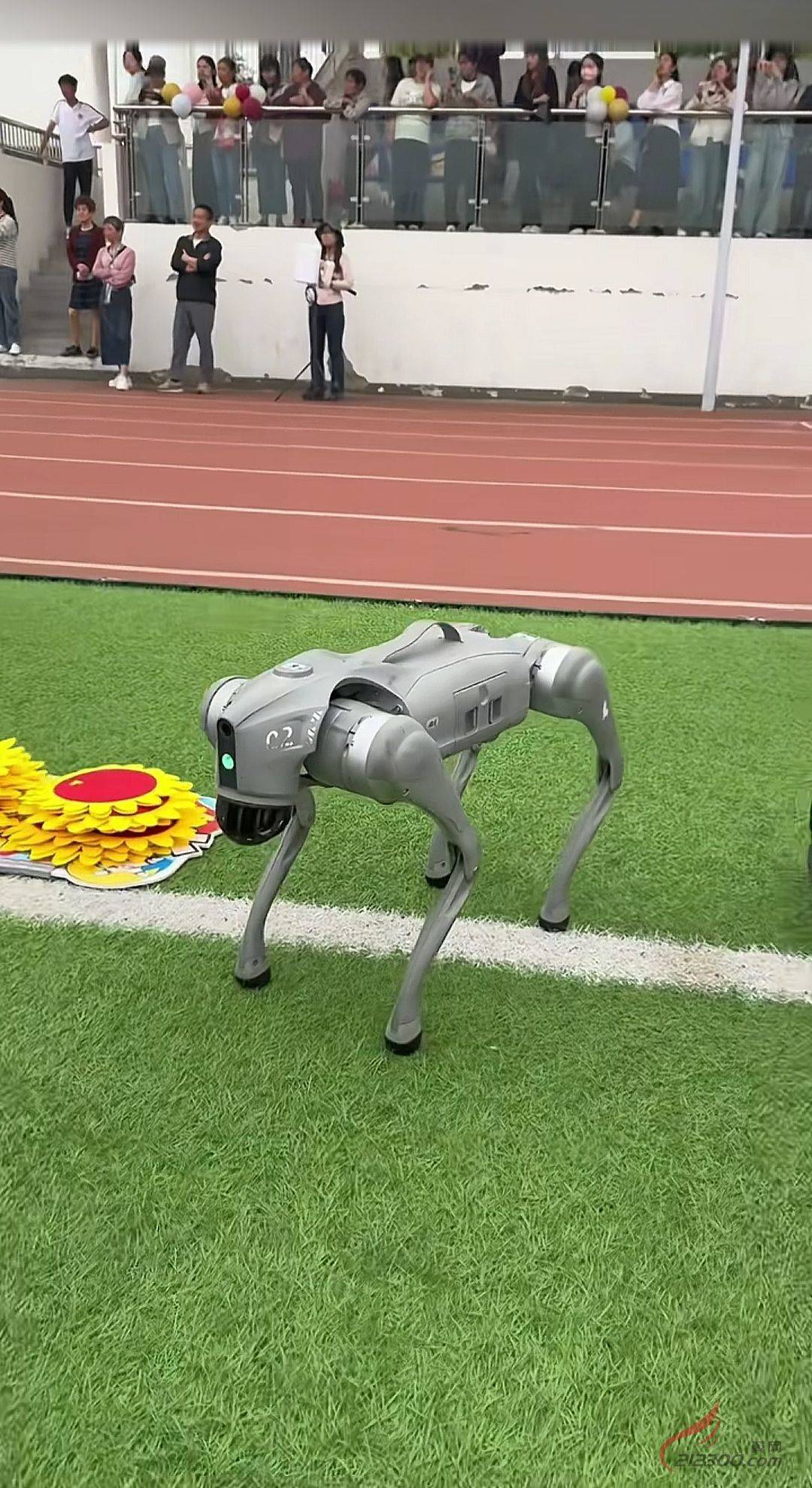 港澳新闻 第111页
