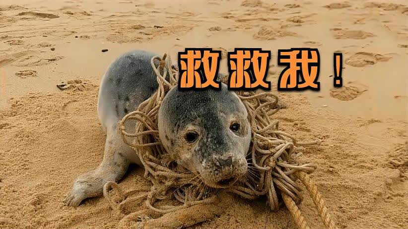 游戏专题 第66页
